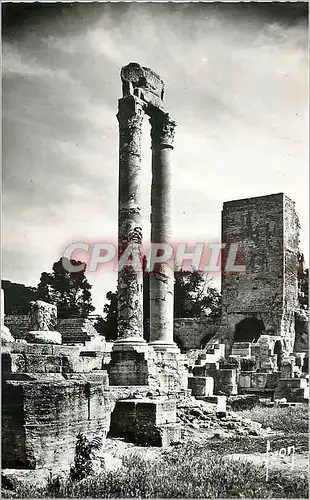 Moderne Karte Arles (B du R) Les Colonnes du Theatre Antique