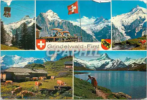 Cartes postales moderne Grindelwald First