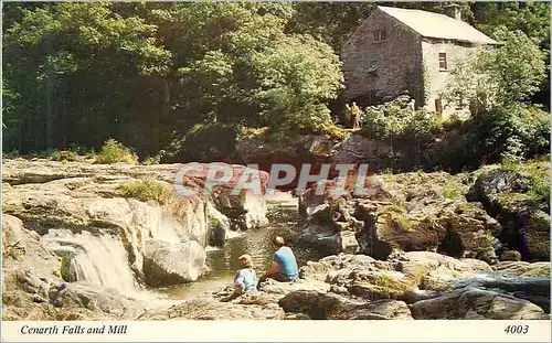 Moderne Karte Cenarth Falls and Mill