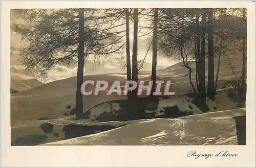 Cartes postales moderne Paysage d'Hiver