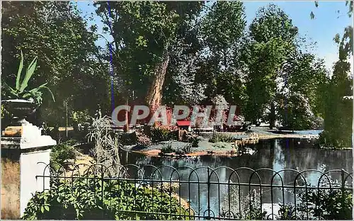 Cartes postales moderne Vichy (Allier) Un Coin des nouveaux Parcs