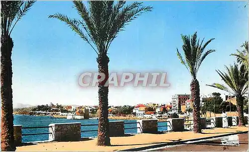 Cartes postales moderne Toulon (Var) Les Mourillons