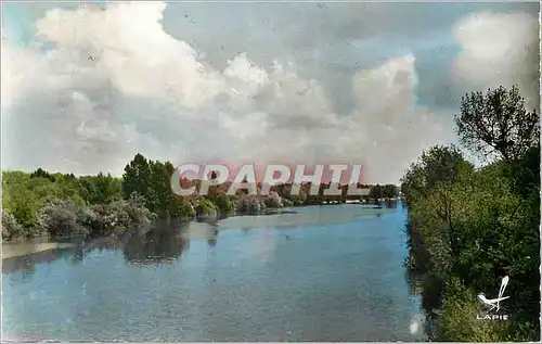 Cartes postales moderne Chatillon sur Loire (Loiret) Les Bords de la Loire (Loiret) Les Bords de la Loire