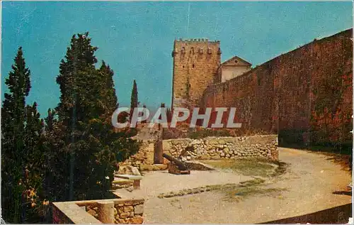 Cartes postales moderne Tarragona Paseo Arqueologico