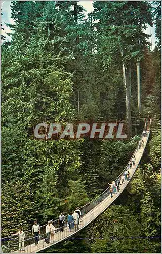 Cartes postales moderne North Vancouver Canada The World Famous Capilano Suspension Bridge