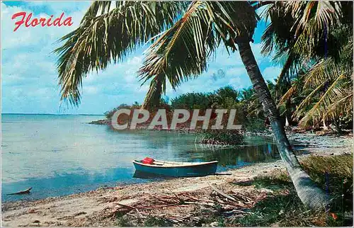 Cartes postales moderne Florida