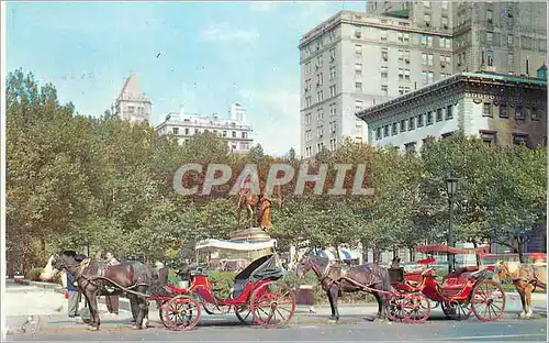 Cartes postales moderne New York City Horse Drawn Carriages