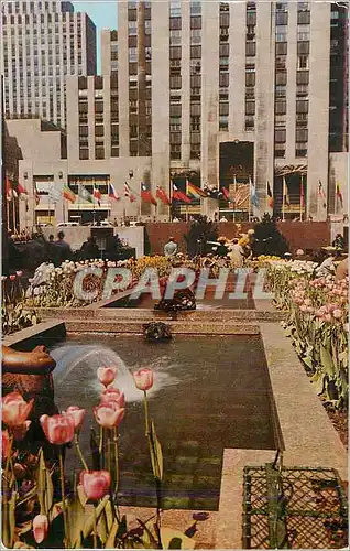 Cartes postales moderne New York City The Channel Gardens Rockfeller Center