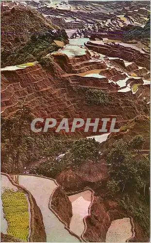 Cartes postales moderne World Wide Network Philippines Terraced for rice Growing Qantas