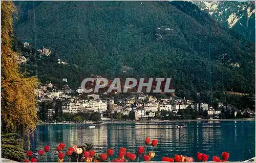 Cartes postales moderne Montreux Territet Les Quais fleuris