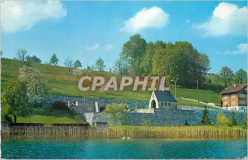 Cartes postales moderne Kussnacht au pied du Right Lac des Quatre Cantons arbre funestre et Chapelle Commemorative Sa Ma