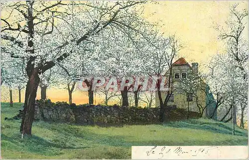 Cartes postales Fantaisie