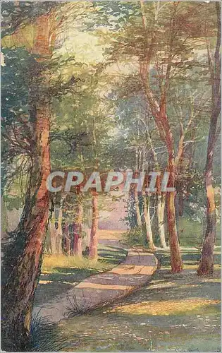 Cartes postales Fantaisie