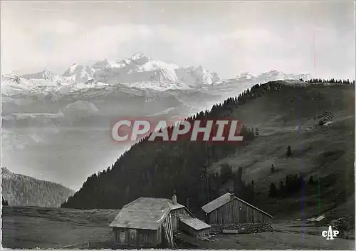 Cartes postales moderne Taninges Les Praz de Lys Panorama sur la Chaine du Mont Blanc