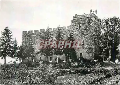 Cartes postales moderne Environs de Thonon les Bains Le Chateau de Tarringes