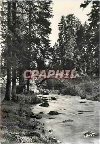 Cartes postales moderne Gerardmer Station Climatique (Alt 666 m) La Vologne au Pont des Fees