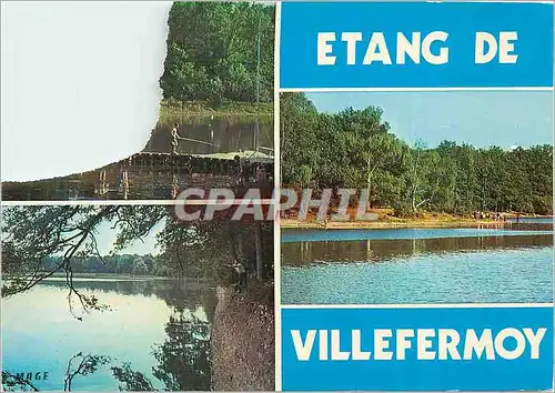Cartes postales moderne Etang de Villefermoy (Seine et Marne)