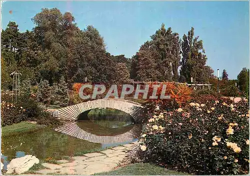 Cartes postales moderne Lyon Parc de la Tete d'Or La Roserie