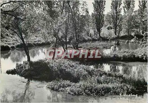 Moderne Karte Souppes sur Loing (Seine et Marne) Les Bons Coins de Peche sur le Loing