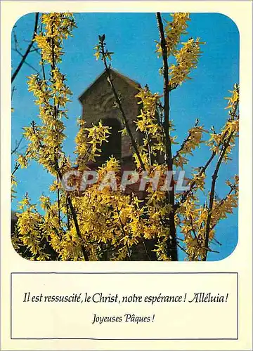 Cartes postales moderne Joyeuses Paques Il est Ressuscite Le Christ Notre Esperence Alleluia