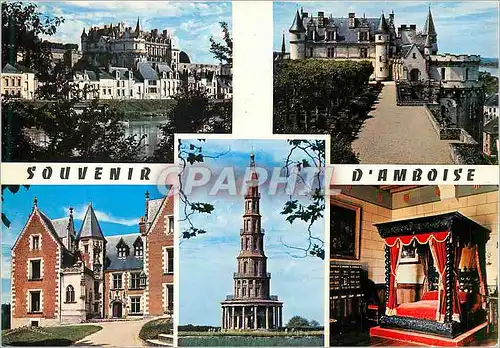 Cartes postales moderne Amboise (Indre et Loire) En Touraine Le Chateau Le Clos Luce et la Pagode de Chanteloup