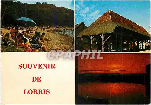 Moderne Karte Souvenir de Lorris La Plage Les Halles Le Coucher de Soleil