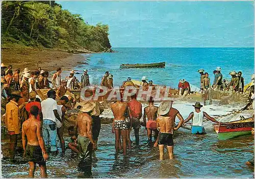 Cartes postales moderne Martinique Coup de Senne a Saint Pierre Peche