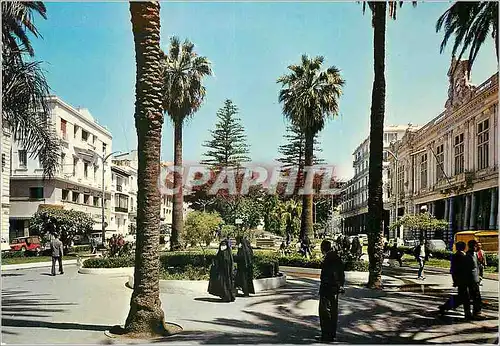 Cartes postales moderne Algerie Annaba Cours de la Revolution