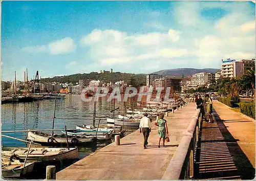 Cartes postales moderne Palma de Mallorca (Mallorca) Vue de la Promenade Maritime