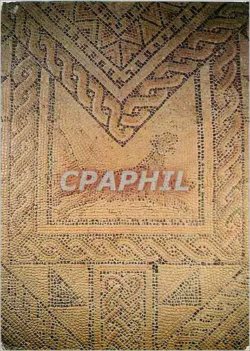 Moderne Karte Grand Basilique Detail de la Mosaique Panthere