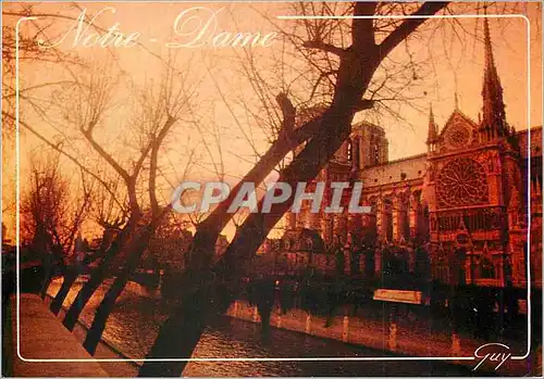 Cartes postales moderne Variations Parisiennes Notre Dame