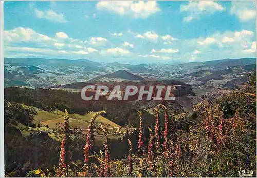 Cartes postales moderne Vue Panoramique sur les Sommes Les Vosges Pittoresques