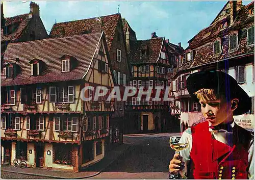 Cartes postales moderne Colmar L'Alsace Pittoresque Rue des Marchands Folklore