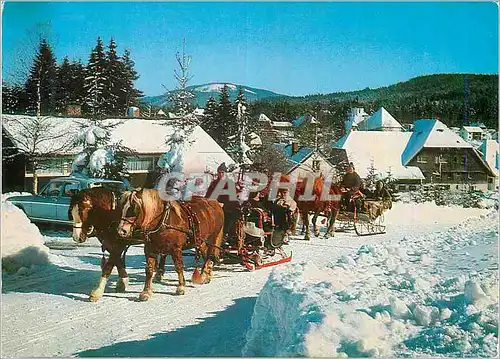 Moderne Karte Pferdeschlitten im Winterlichen Hochschwarzwald