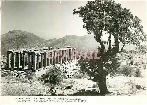 Moderne Karte Andritsaina View of the Temple of Apollo at Bassae