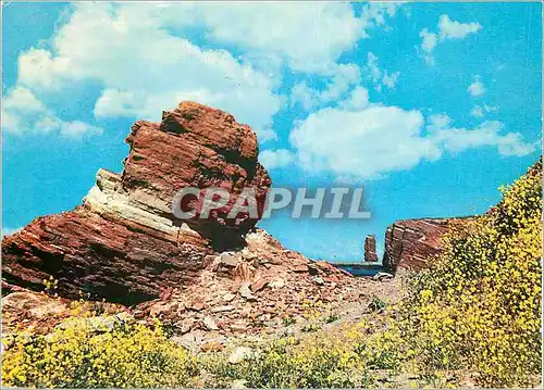Cartes postales moderne Helgoland Roter Fels