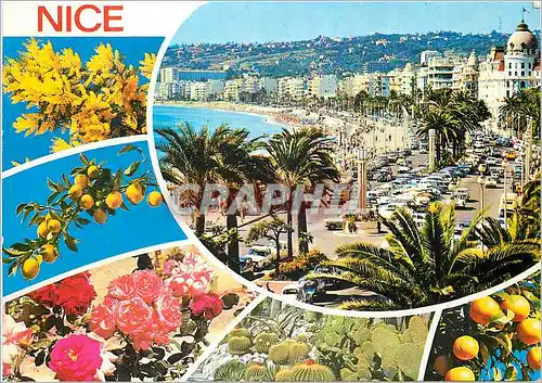 Cartes postales moderne Nice COte d'Azur French Riviera La Promenade des Anglais