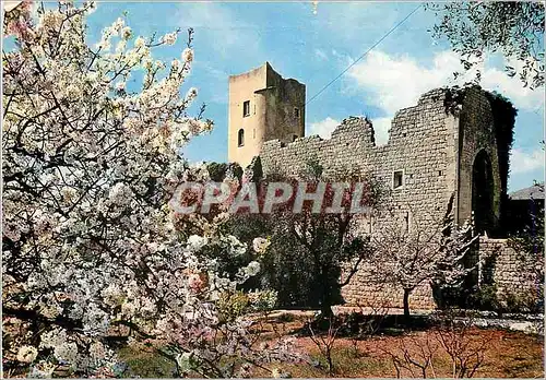 Cartes postales moderne Paysage printanier de l'Arriere pays Mediterraneen