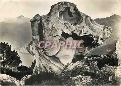 Moderne Karte Piana Dans les Calanches La Tete de Chien