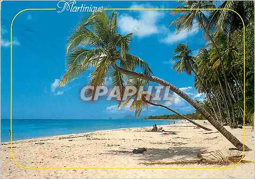 Moderne Karte Martinique La Plage des Salines