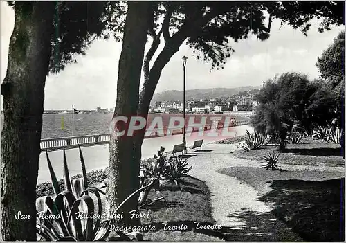 Cartes postales moderne San Remo Riviera dei Fiori Passeggiata Trento Trieste