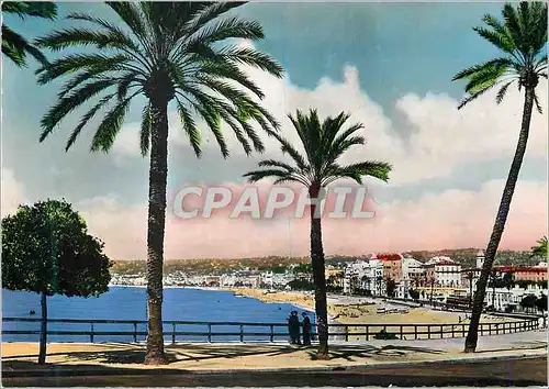 Cartes postales moderne Nice Le Quai des Etats Unis