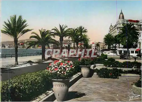 Moderne Karte Cannes La Cote d'Azur La Croisette