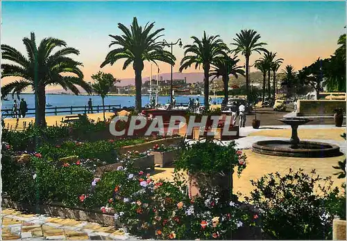 Moderne Karte Cannes La Cote d'Azur Jardins Fleuris sur la Croisette