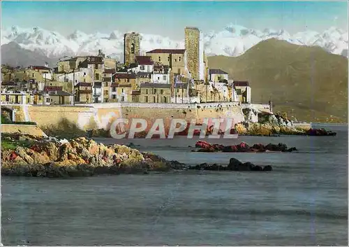 Cartes postales moderne Antibes La Cote d'Azur Les Remparts et les Alpes