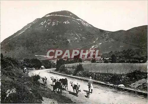 Cartes postales moderne Le Puy de Dome vu du Pied L'Auvergne (alt 1465 m) Vaches