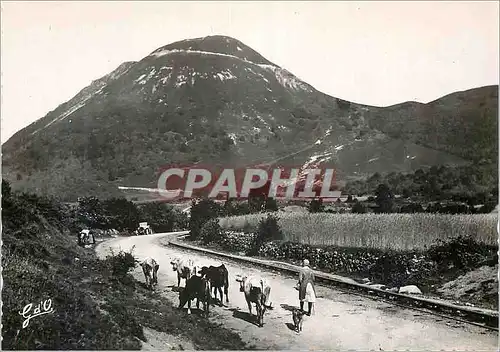 Moderne Karte Le Puy de Dome vu du Pied L'Auvergne (alt 1465 m) Vaches