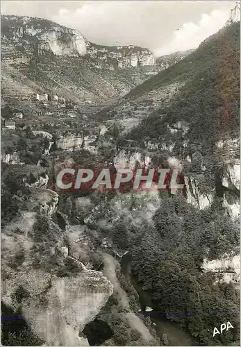 Cartes postales moderne En Parcourant les Gorges du Tarn Panorama des Terrasses dans la Vallee de la Jonte au fond Le Tr
