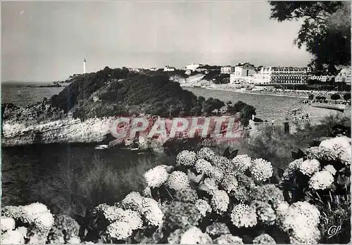 Cartes postales moderne Biarritz Le Basta et les Hortensias Vue vers la Grande Plage et le Phare
