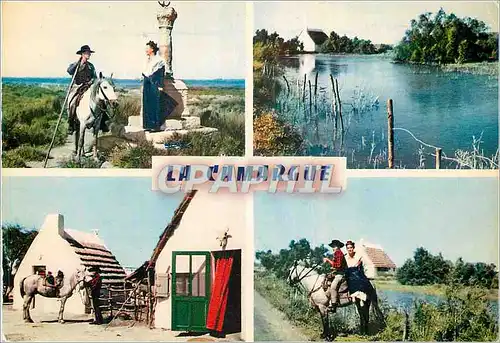 Moderne Karte La Camargue Chevaux Folklore